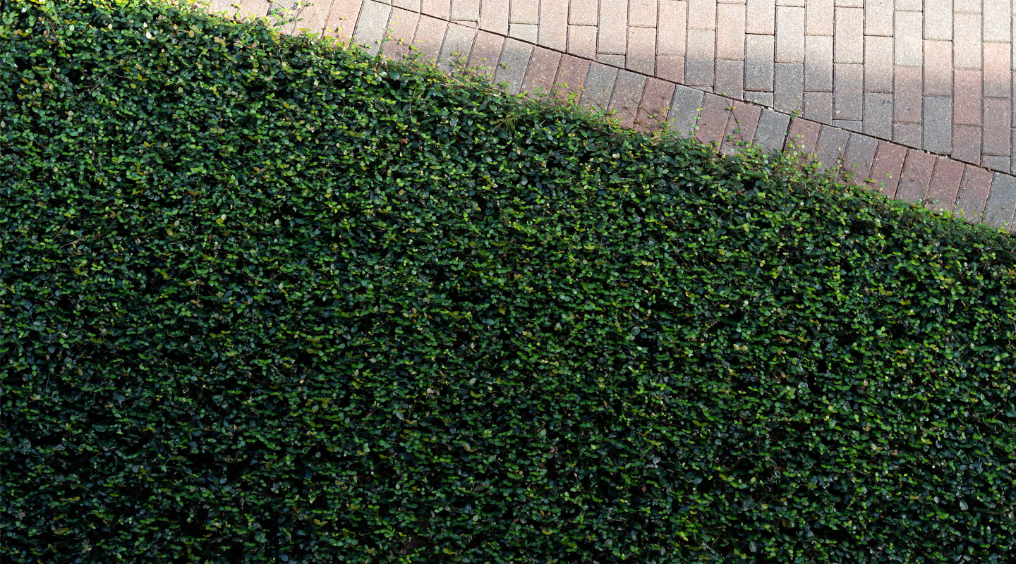 Texture at Loyola New Orleans